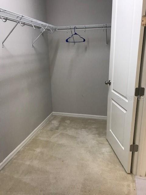 walk in closet featuring light colored carpet