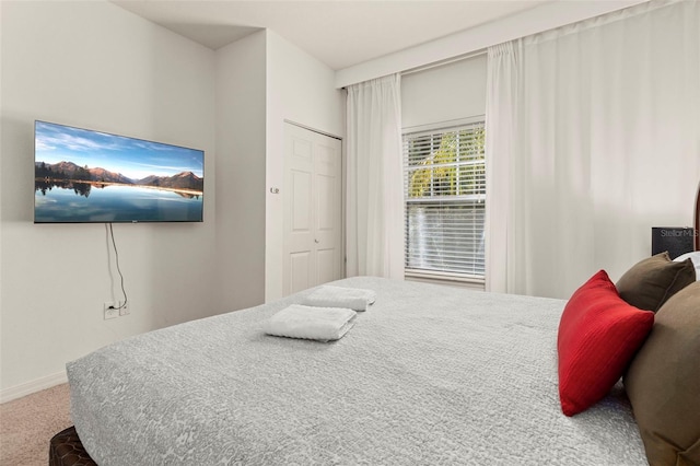 bedroom featuring a closet and carpet floors