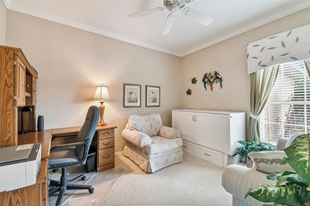 carpeted office with crown molding and ceiling fan