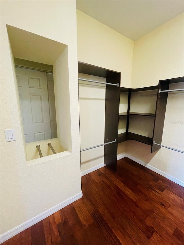 walk in closet with wood-type flooring