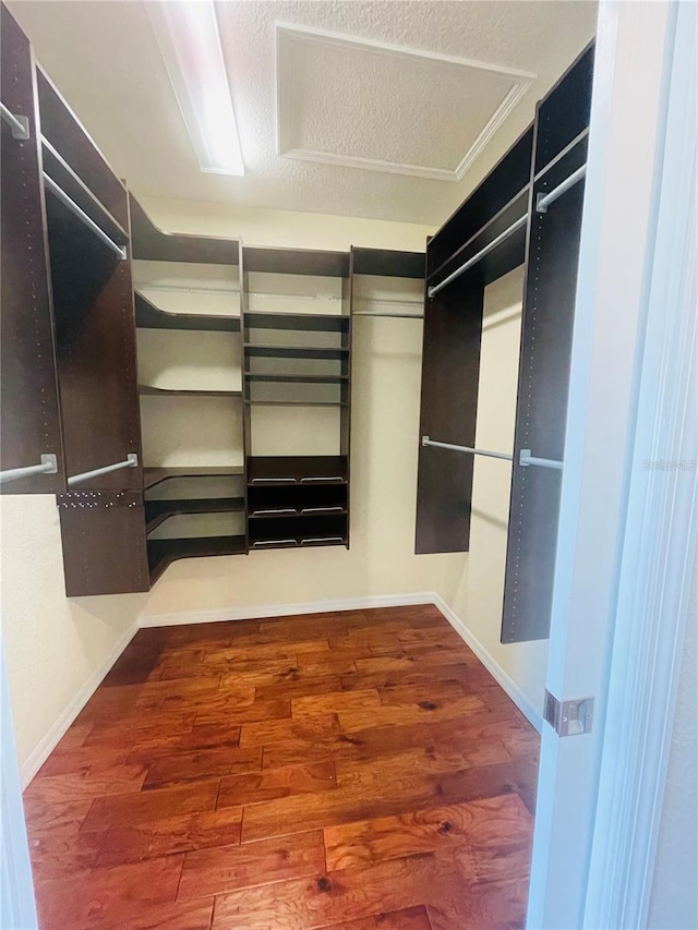 spacious closet featuring hardwood / wood-style floors