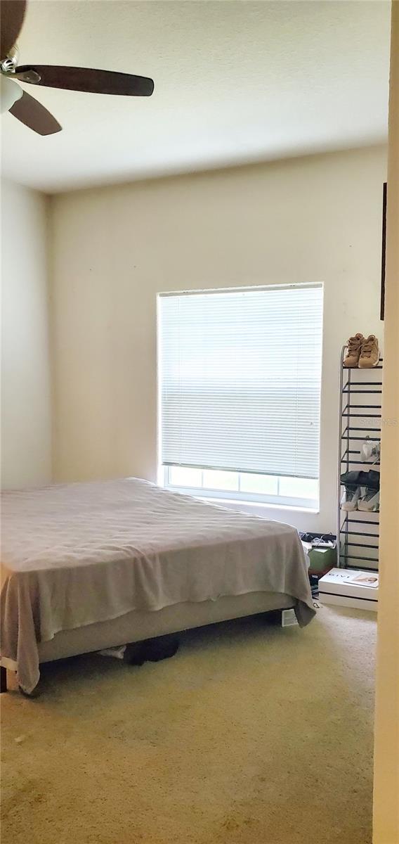 carpeted bedroom with ceiling fan