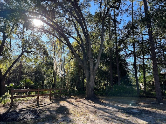 6790 Bass Hwy, Saint Cloud, FL 34771 - view of yard