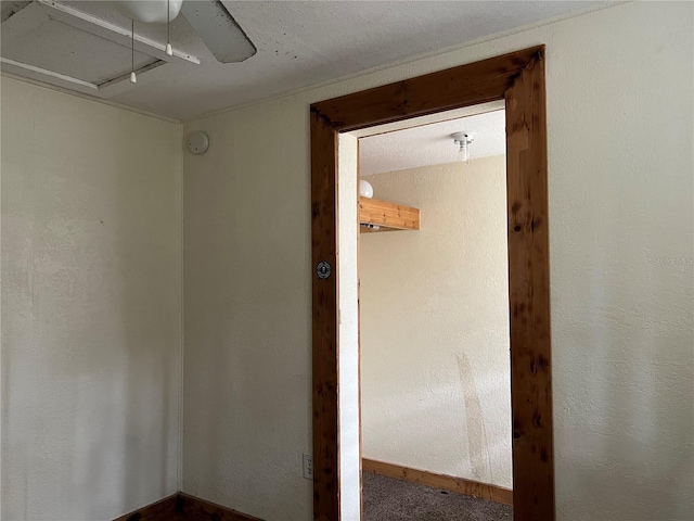 6790 Bass Hwy, Saint Cloud, FL 34771 - view of hallway