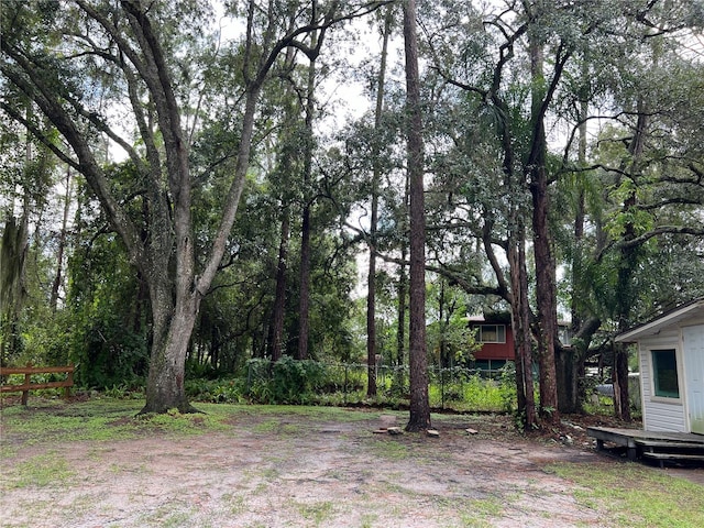 6790 Bass Hwy, Saint Cloud, FL 34771 - view of yard