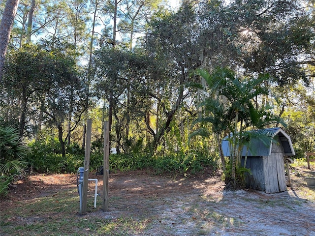 6790 Bass Hwy, Saint Cloud, FL 34771 - view of yard