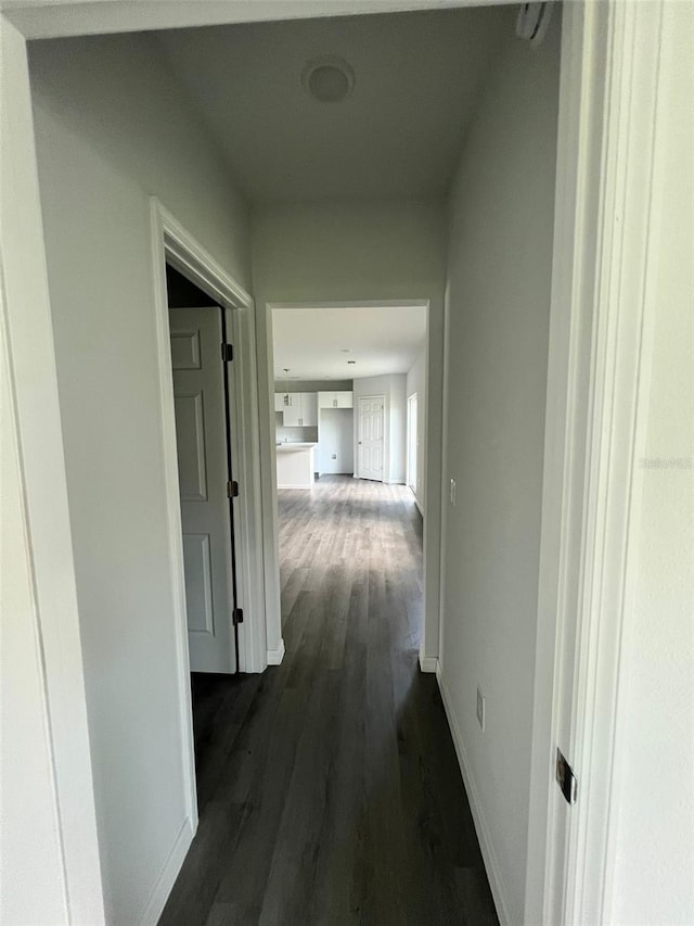 hallway with dark wood-type flooring