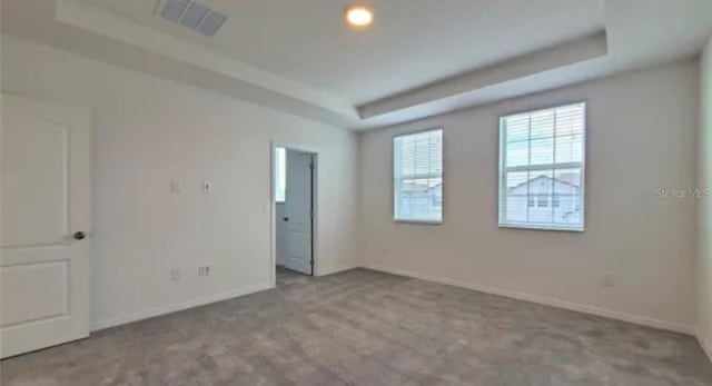 unfurnished room featuring a raised ceiling and light carpet