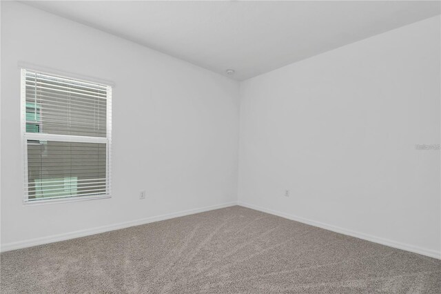 unfurnished room with carpet flooring