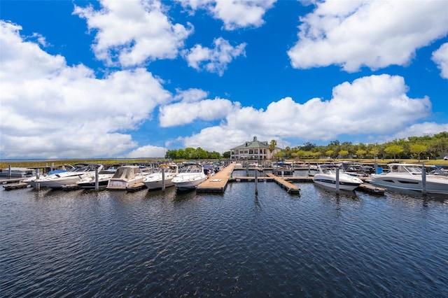 dock area featuring a water view