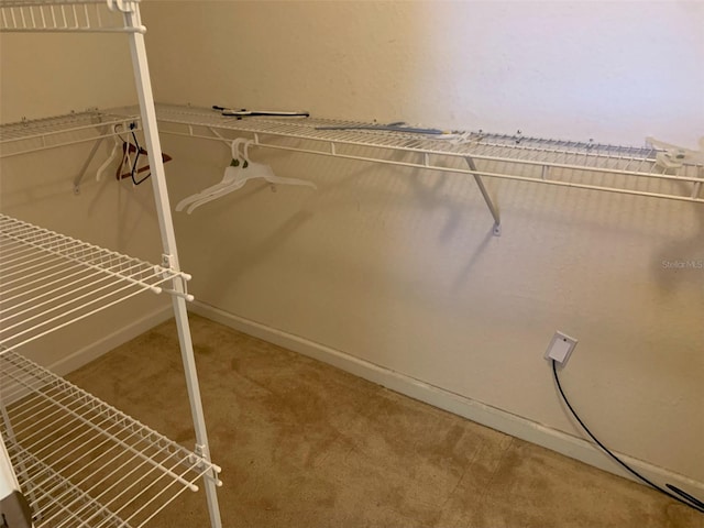 walk in closet featuring carpet