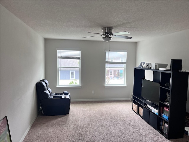 sitting room featuring carpet floors, plenty of natural light, a textured ceiling, and baseboards