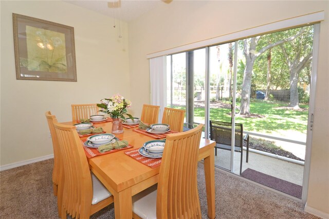 dining area featuring carpet flooring