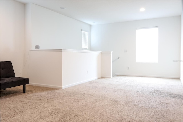 living area featuring light colored carpet