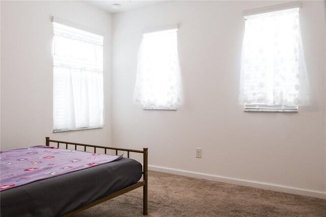 carpeted bedroom with multiple windows