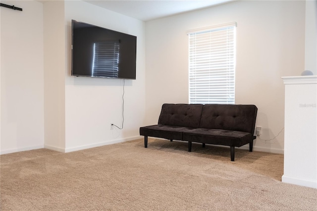 living area featuring light colored carpet