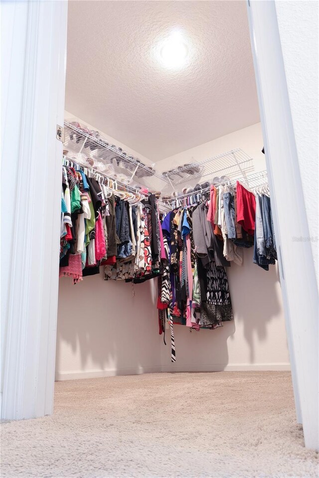 walk in closet featuring carpet flooring