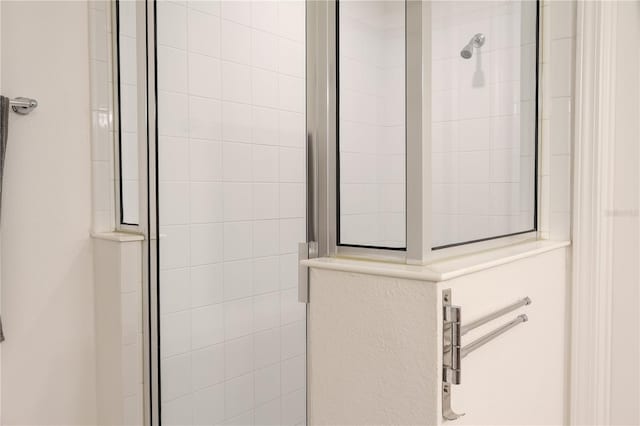 bathroom featuring a shower with shower door