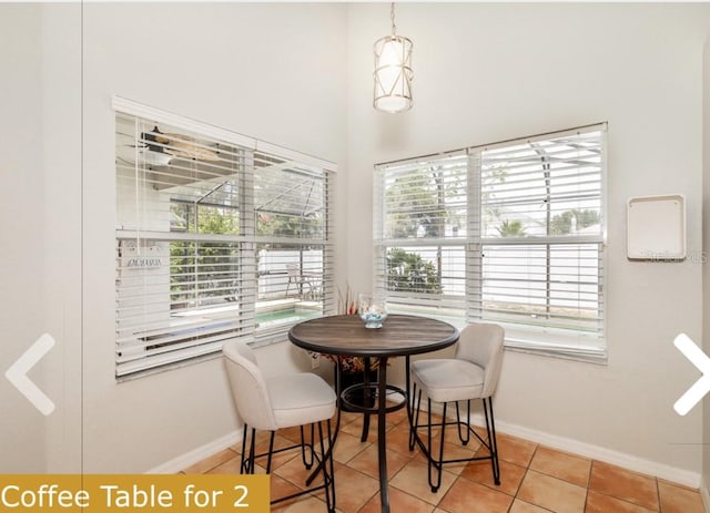 tiled dining room featuring plenty of natural light