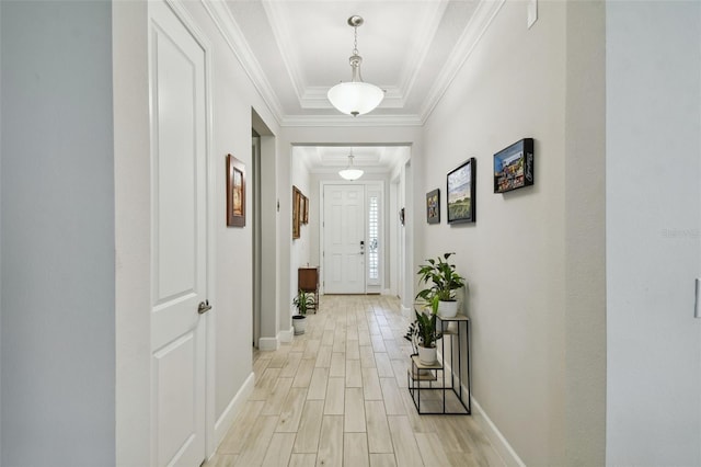 corridor featuring crown molding and light wood-type flooring