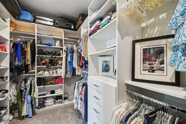 spacious closet with carpet flooring