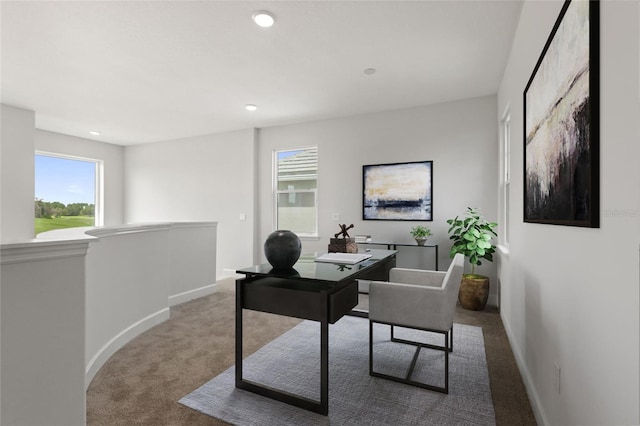 office area featuring carpet flooring