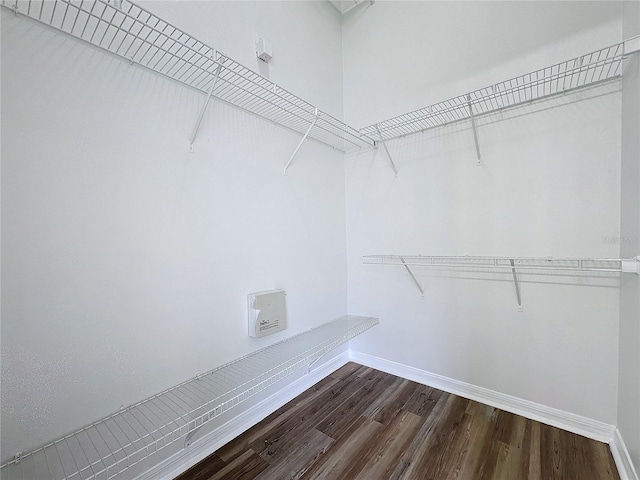 spacious closet featuring dark wood-type flooring