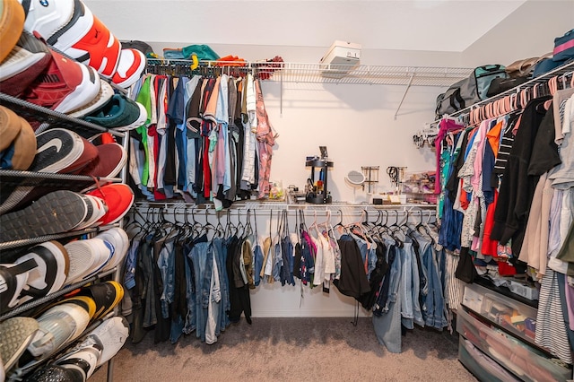 walk in closet featuring carpet floors