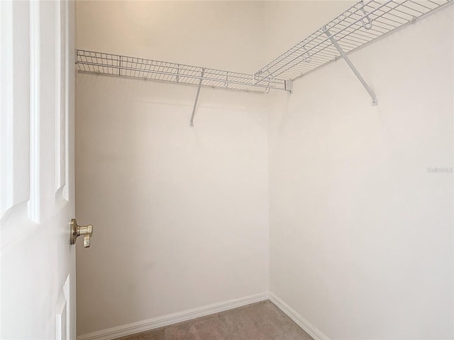 spacious closet with carpet flooring