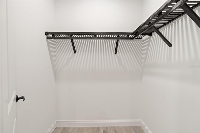 walk in closet featuring hardwood / wood-style flooring