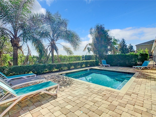 view of pool with a patio area