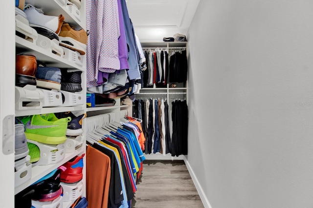 spacious closet with light wood-type flooring