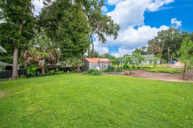 view of yard with a storage unit