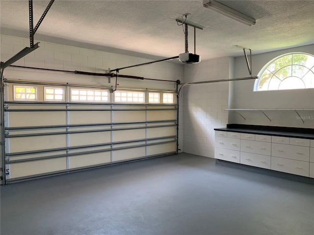 14421 Hatchee Ct, Orlando, FL 32837 - garage with concrete block wall and a garage door opener