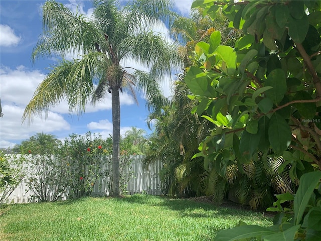 14421 Hatchee Ct, Orlando, FL 32837 - view of yard with fence