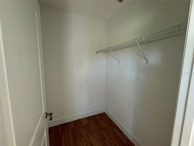 spacious closet featuring dark hardwood / wood-style floors