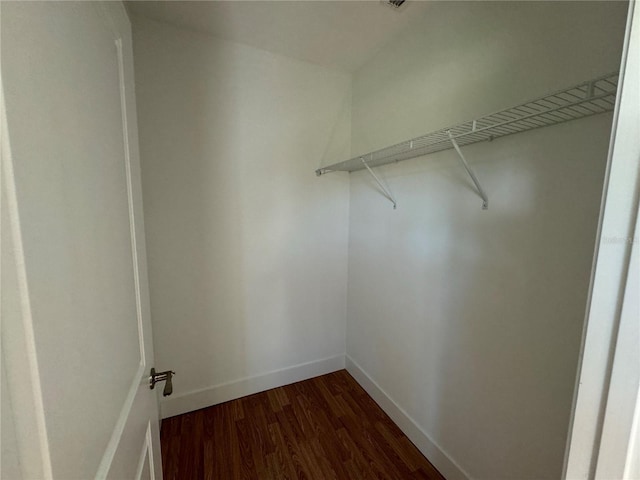 walk in closet featuring dark wood finished floors