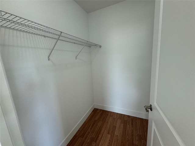 walk in closet with dark wood finished floors