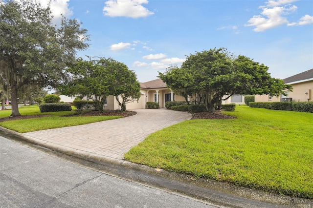 view of property hidden behind natural elements featuring a front yard