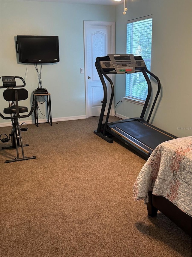 exercise area with carpet flooring