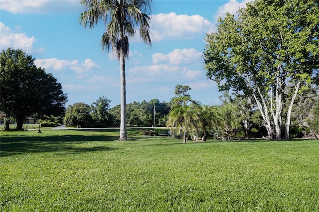 view of property's community with a yard