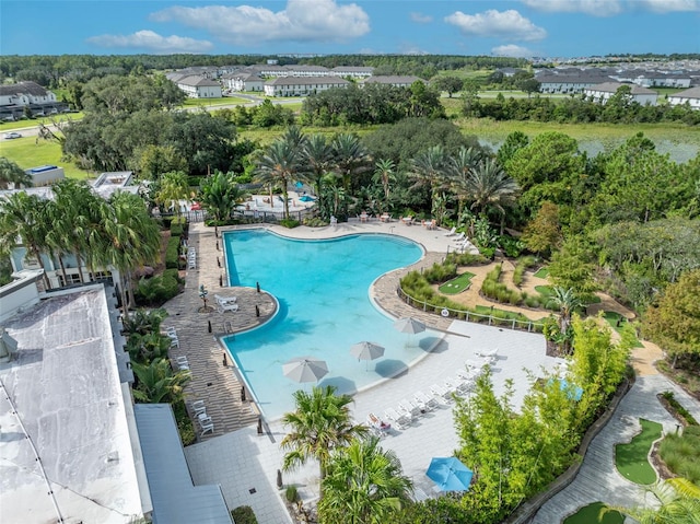 view of swimming pool with a patio area