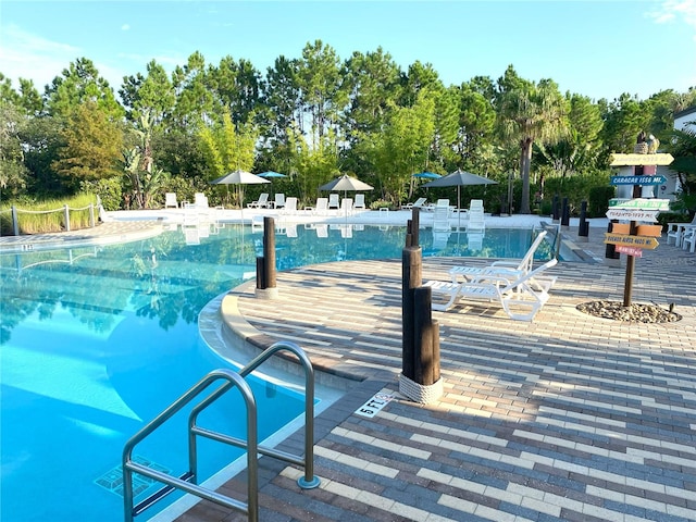 view of pool featuring a patio