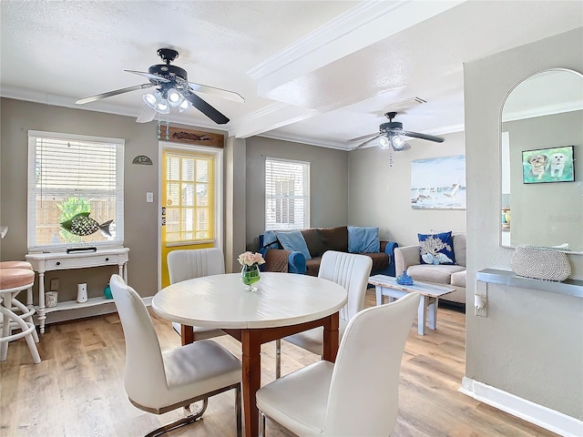 dining space with light hardwood / wood-style flooring, ceiling fan, a healthy amount of sunlight, and crown molding