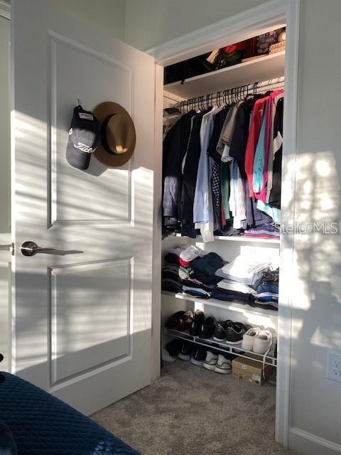 view of closet