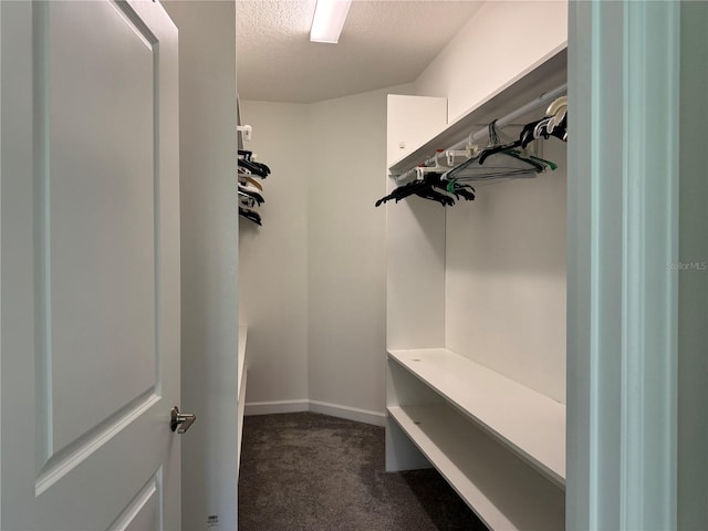 1077 Quaker Ridge Ln, Davenport, FL 33896 - spacious closet featuring dark carpet