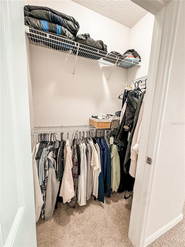 spacious closet featuring light carpet