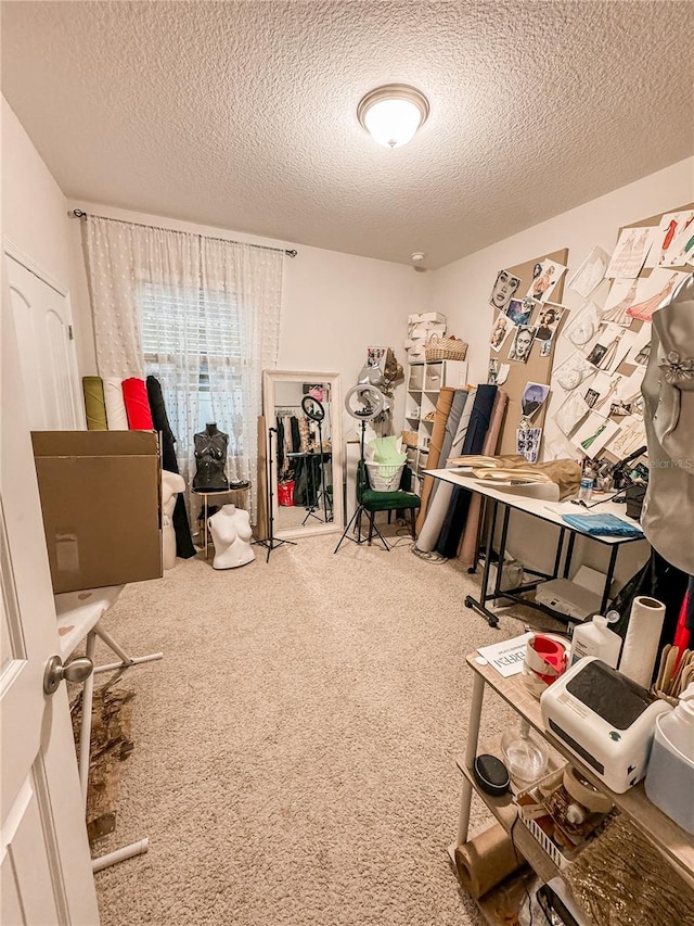 miscellaneous room with a textured ceiling and carpet