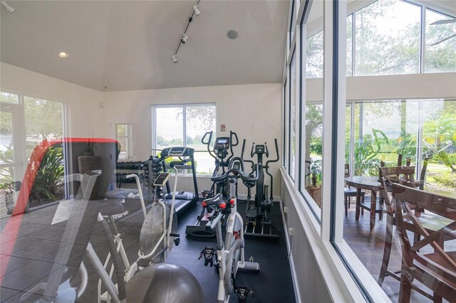 4177 N Orange Blossom Trl Unit 210, Orlando, FL 32804 - gym featuring vaulted ceiling, rail lighting, and recessed lighting