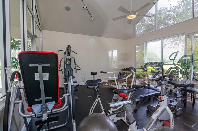 4177 N Orange Blossom Trl Unit 210, Orlando, FL 32804 - exercise room featuring ceiling fan and lofted ceiling